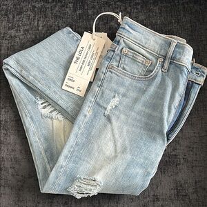 NEW Aritzia Denim Forum Lola High Rise Skinny Crop Jeans Sold Out Best Asset